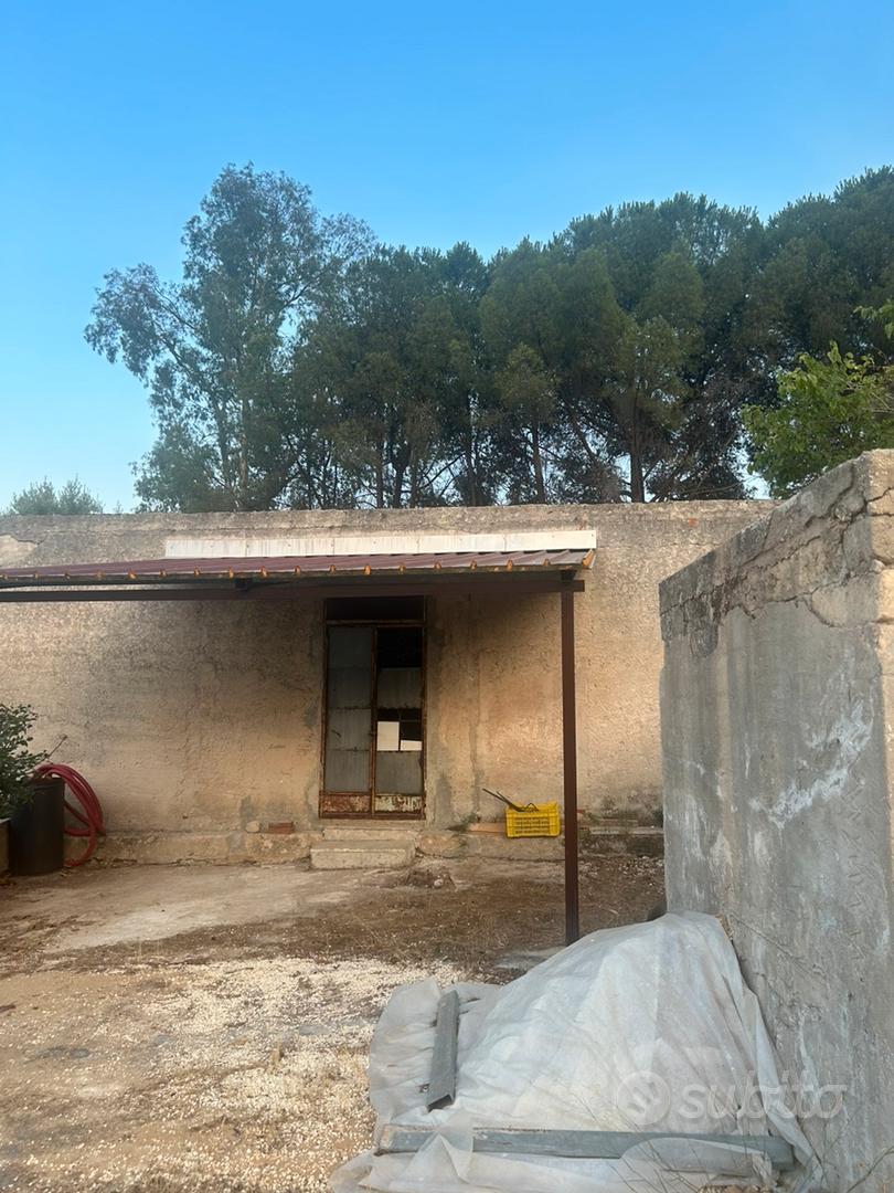terreno per uso agricolo - Vista 2