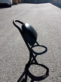 sissy bar