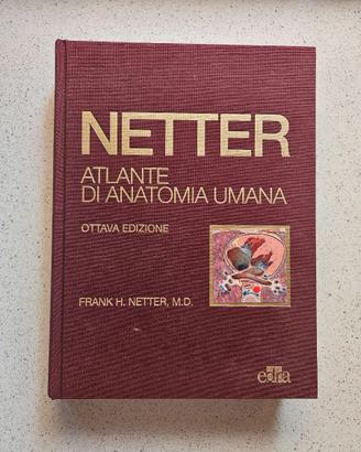 Atlante di Anatomia Umana Netter Ottava edizione