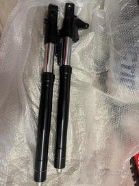 Forcella e mono Buell