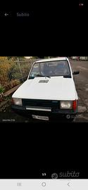 Panda Young 91