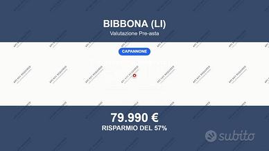Immobile in asta di 476 m² a Bibbona