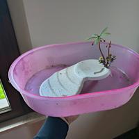 vaschetta tartarughe