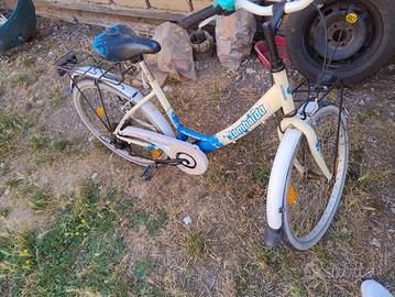 bicicletta 