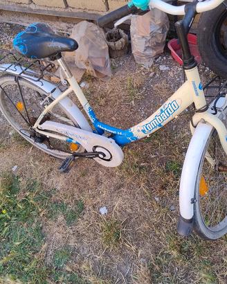 bicicletta 