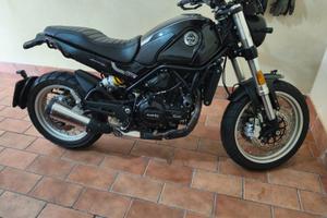 Benelli Leoncino 500 - 2023