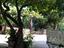 Immagine 27