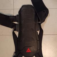paraschiena Dainese