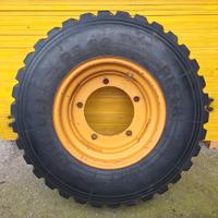 gomme pala gommata