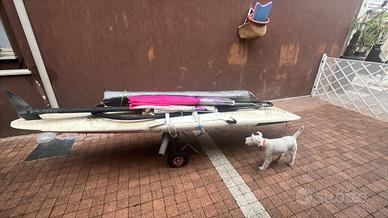 Tavola Windsurf + 2 vele FRETTA DI VENDERE