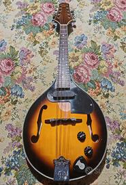 Mandolino Professional SoundSation Mod. M985M/TS.