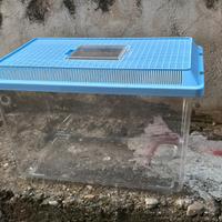 Acquari in plastica pesci