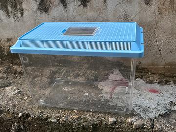 Acquari in plastica pesci