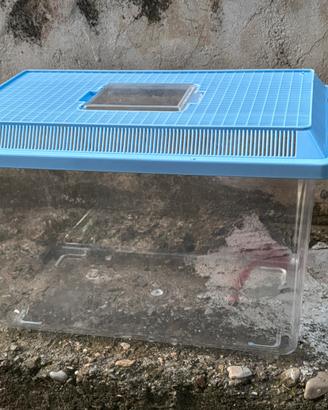 Acquari in plastica pesci