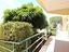 Immagine 28