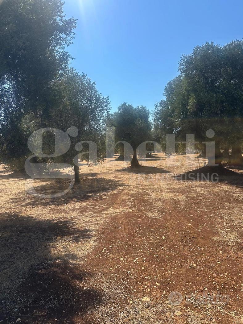 Terreno Agricolo Ostuni [Cod. rif 3257534VCG] - Altro