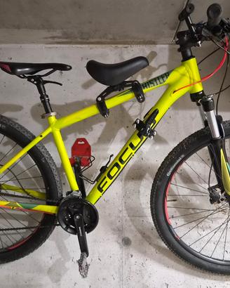 mtb FOCUS