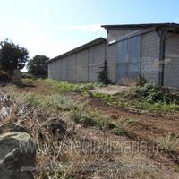 Appartamento Macomer [A4331424]