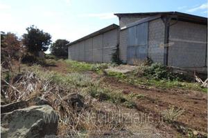 Appartamento Macomer [A4331424]