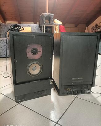 casse attive Audio Pro A4-14
