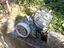 Immagine 2