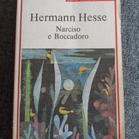 Narciso e Boccadoro - Herman Hesse