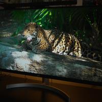 Monitor LG UHD 4K 32”