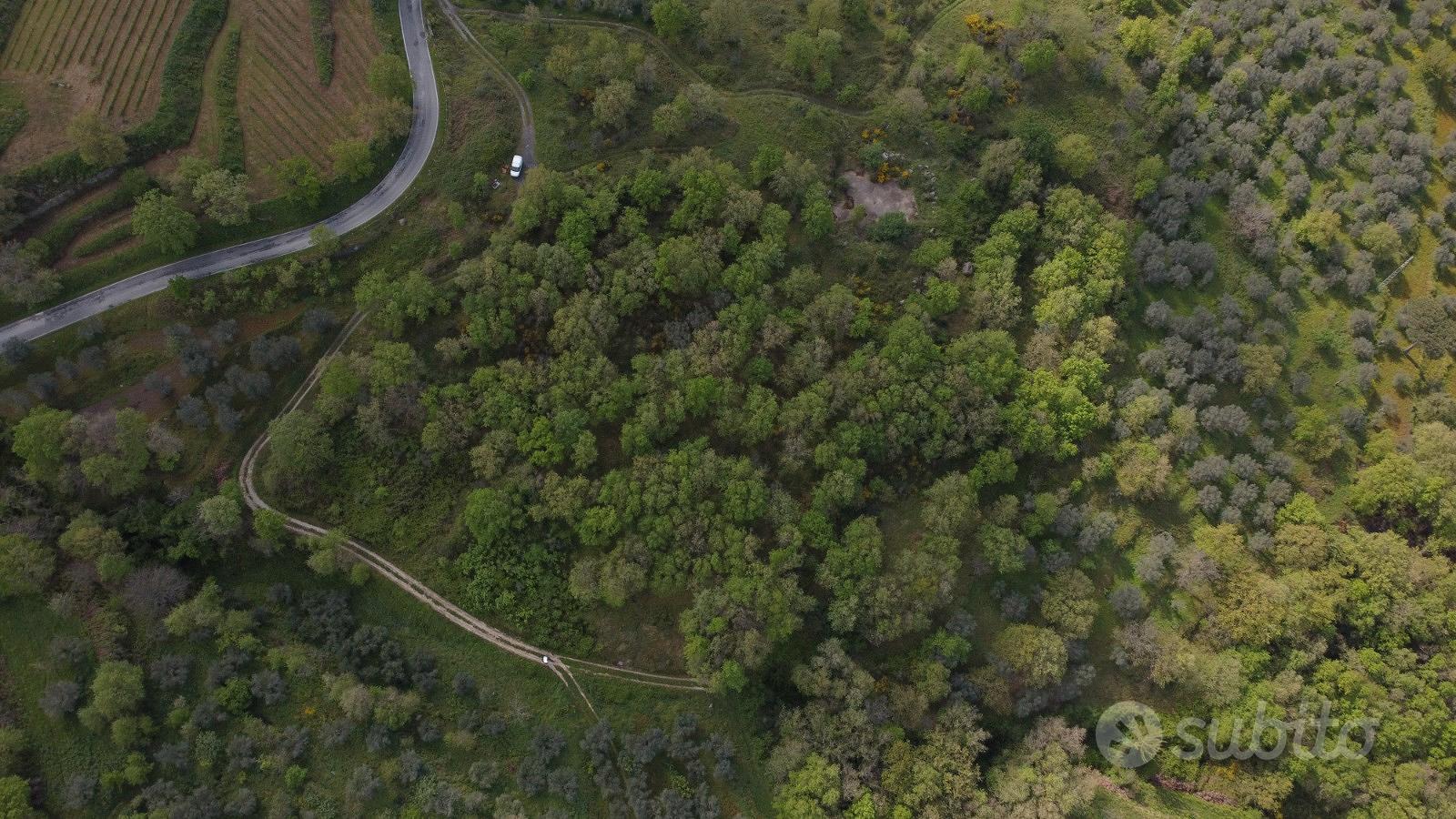 Terreno agricolo a Roccamorfina (CE) - Vista 6