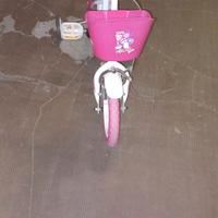 Bici bimba Dino Bikes 3-5 anni