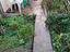 Immagine 14
