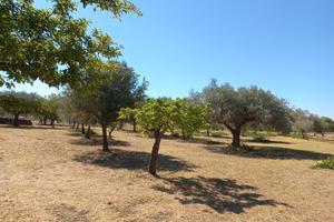 Giarratana (RG) - Lotto edificabile - mq 1345