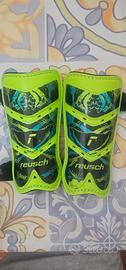 parastinchi reusch