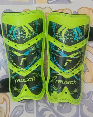parastinchi reusch