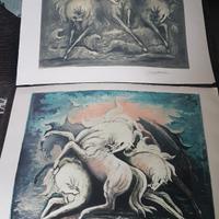 quadro stampe litografia 