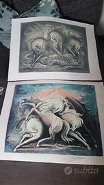 quadro stampe litografia 