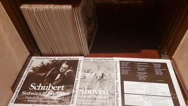 Dischi in vinile 33 giri