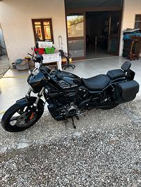 Harley davidson nightster 975