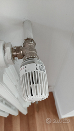 IMI Heimeier valvole teste termostatiche