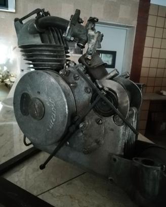 Cucciolo Ducati.