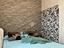 Immagine 14