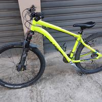 Mtb Rockraider 