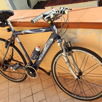 Bicicletta ibrida city bottecchia