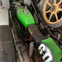 Aspes Yuma trofeo