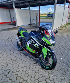 Kawasaki ninja 250r