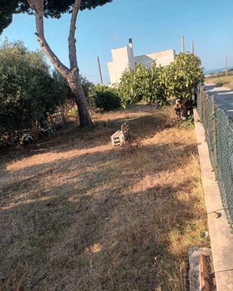 Terreno agricolo
