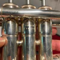 Cornetta mib yamaha 2610 ll