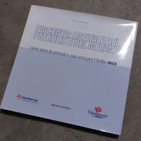 Libro storia petrolio, gas, idrocarburi Piacenza
