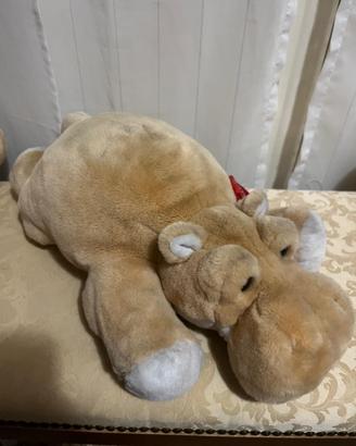 Ippopotamo trudi