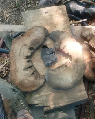 dischi di legno di ulivo 