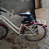 Bicicletta elettrica